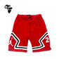 Jordan sweatShorts